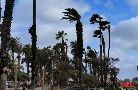 Santa Monica Winds