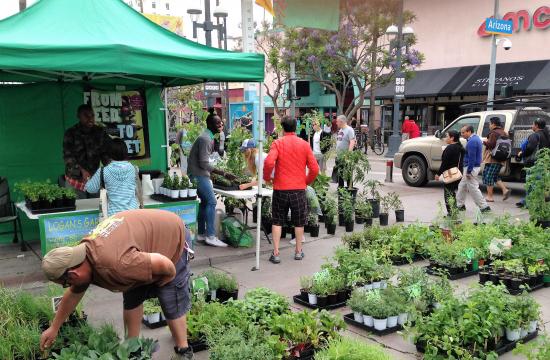 Downtown Farmers Markets
