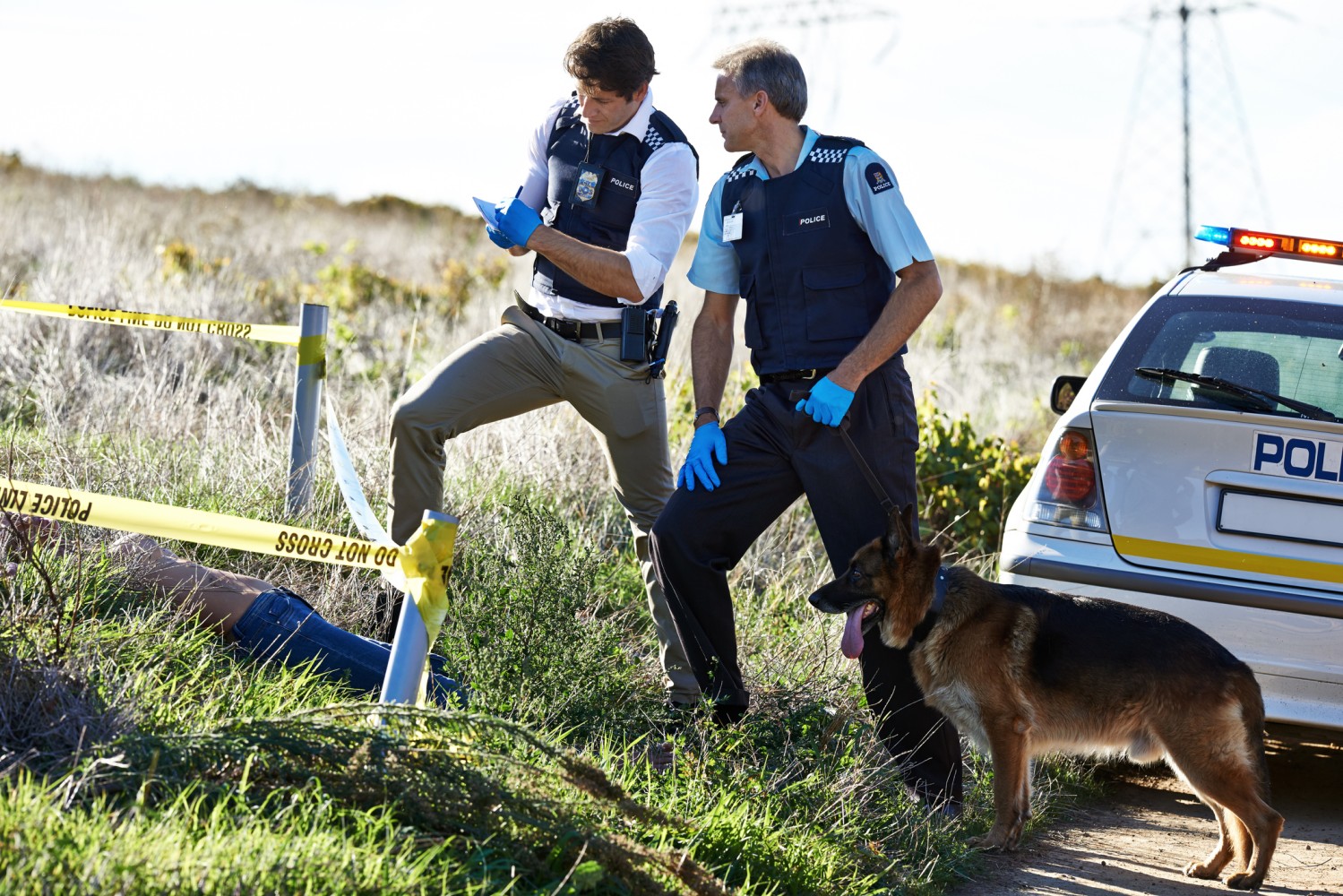 Human Remains Identified by Santa Monica Police - Vimarsana News